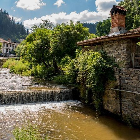 Yakusha - Якуша, Къща За Гости Villa Shiroka Lŭka Exterior foto