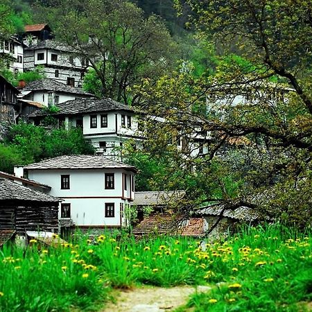 Yakusha - Якуша, Къща За Гости Villa Shiroka Lŭka Exterior foto